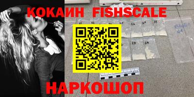 крисы Можга