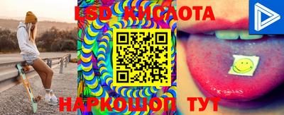 крисы Можга