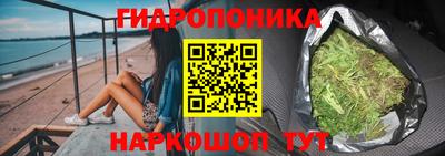 крисы Можга