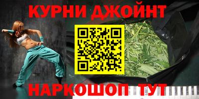 крисы Можга