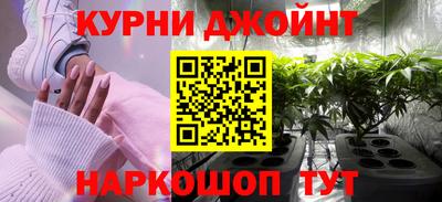 крисы Можга