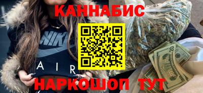 крисы Можга