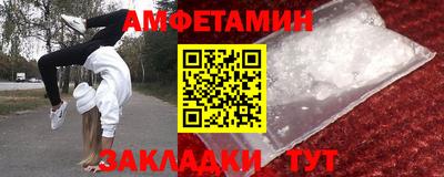 крисы Можга