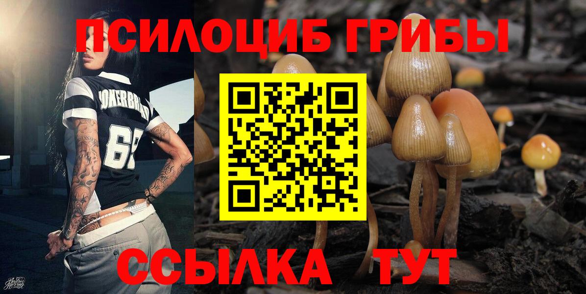 Псилоцибиновые грибы мухоморы Химки